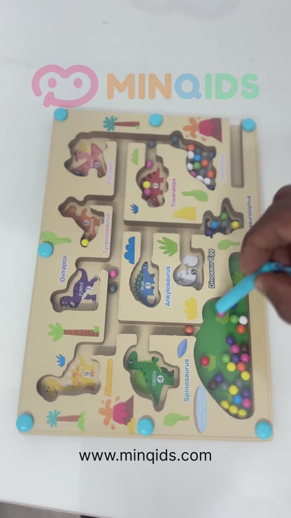 Magnetic Maze Game - Dinosaur: Color Classification Game | Premium Quality Wooden toy