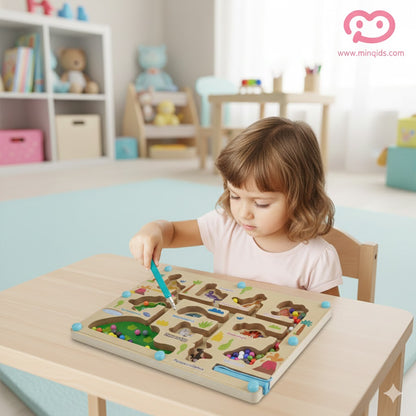 Magnetic Maze Game - Dinosaur: Color Classification Game | Premium Quality Wooden toy